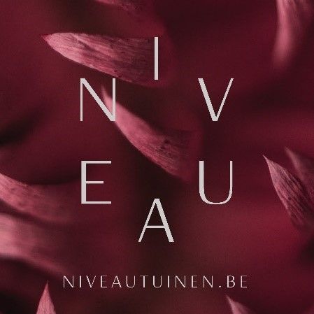 Europees Muziekfestival voor de Jeugd